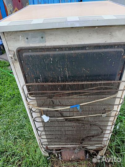 Холодильник полюс