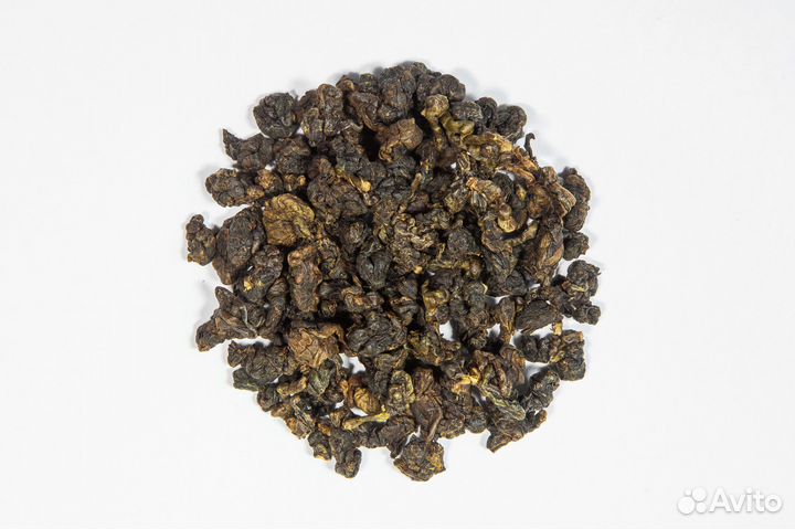 Габа Алишань Зверская, Тайвань