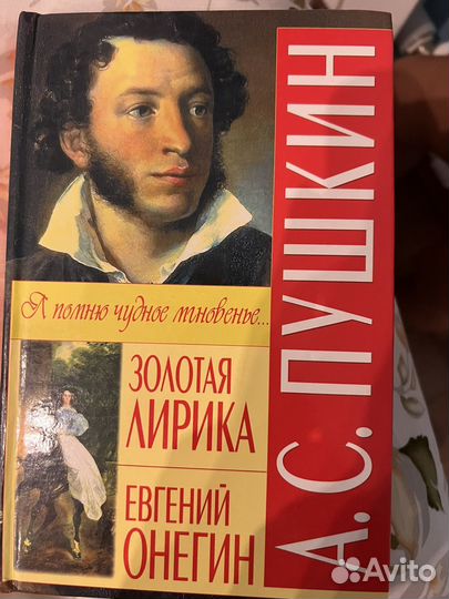 Стихи пушкина