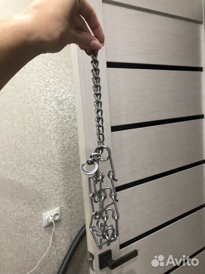 Ошейник для собак строгий