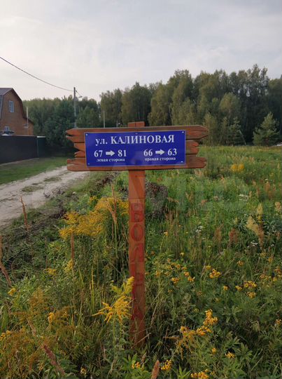 Участок 10 сот. (СНТ, ДНП)
