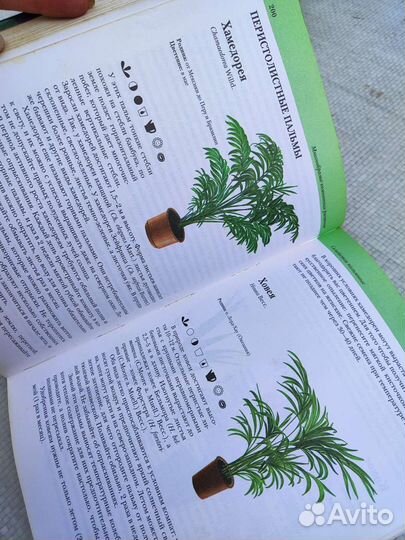 Книги о домашних растениях