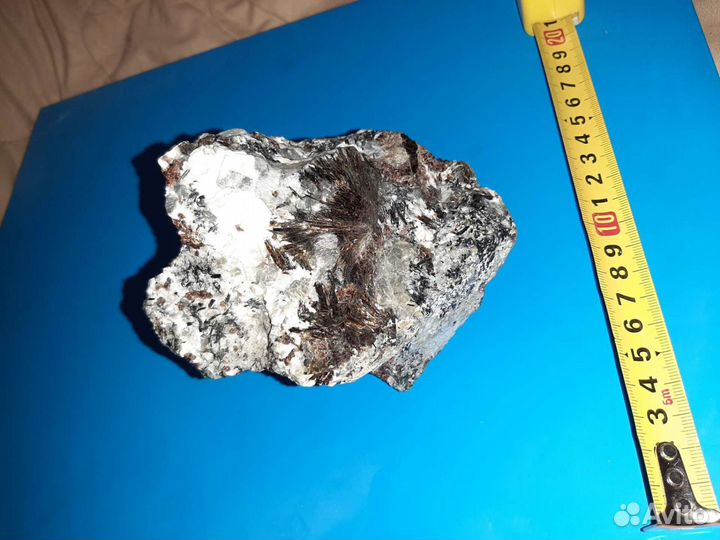 Астрофилит