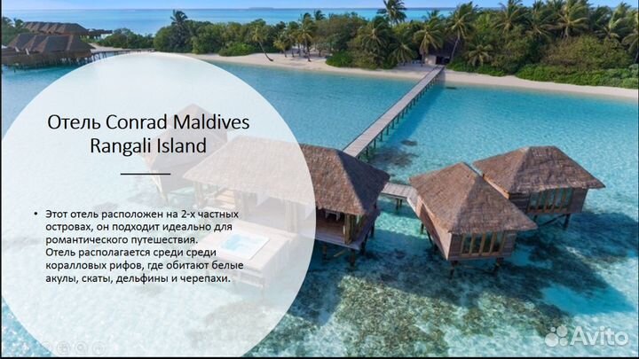 MS Power Point создам презентацию