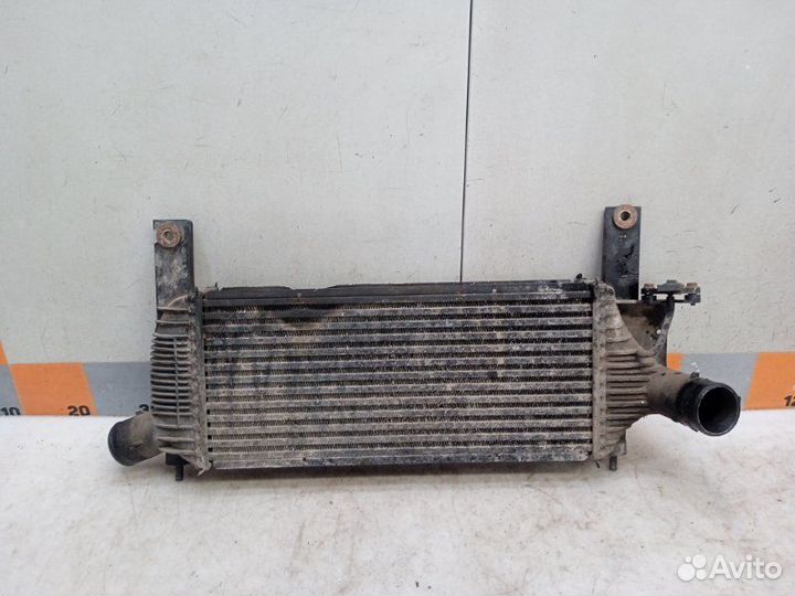 Интеркулер Nissan Navara D40 2.5 2007