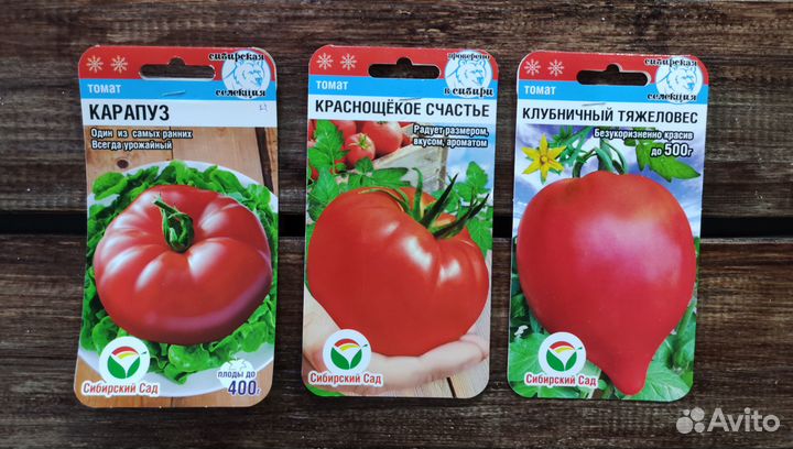 Семена Томатов №8