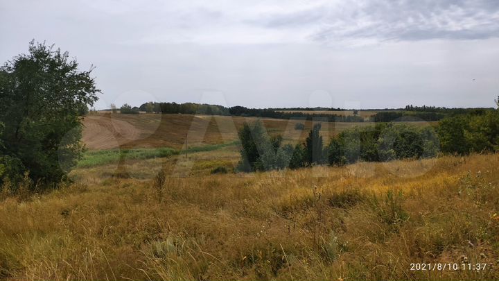 Участок 81 га (промназначения)