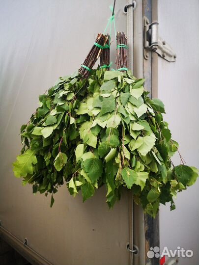 Веники свежие берёзовые, пара, дубовый, пихтовые