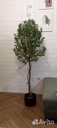 Искусственная олива искусственное дерево