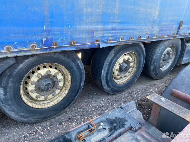 Полуприцеп штора schmitz, и шварцмюллер