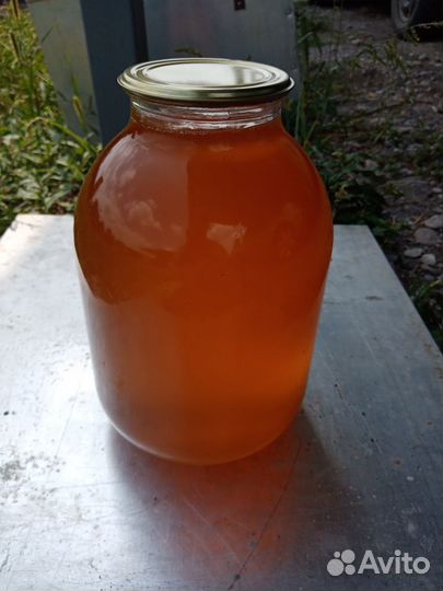 Мед и соты медовые