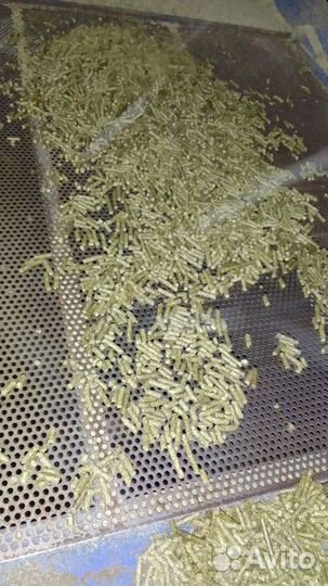 Овес+ люцерна