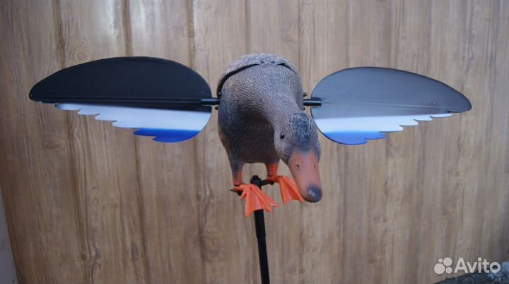 Махокрыл, подсадная утка, приманка