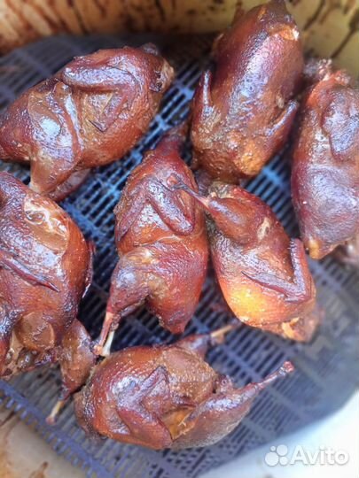 Яйцо перепелиное инкубационное