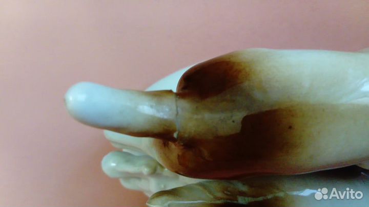 Охотничьи собаки. Германия. Небольшой дефект