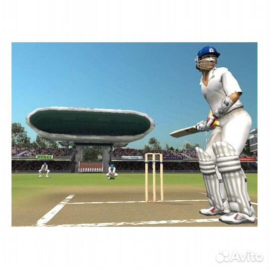 Brian Lara International Cricket 2005 (Xbox)
