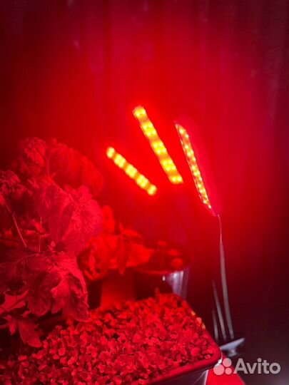Фитолампа для растений