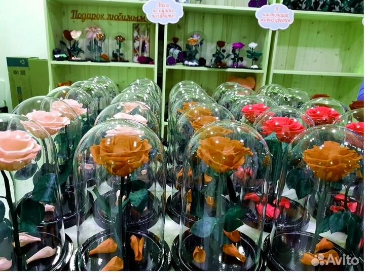 Вечная Роза в колбе + Гравировка в подарок