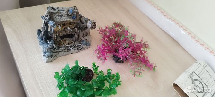Аквариум