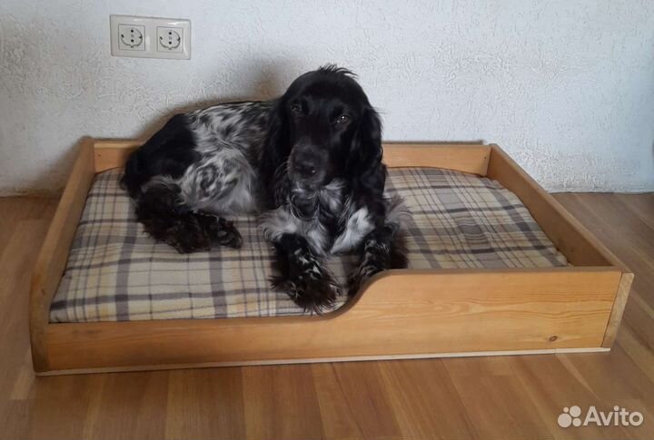 Лежанка для собак