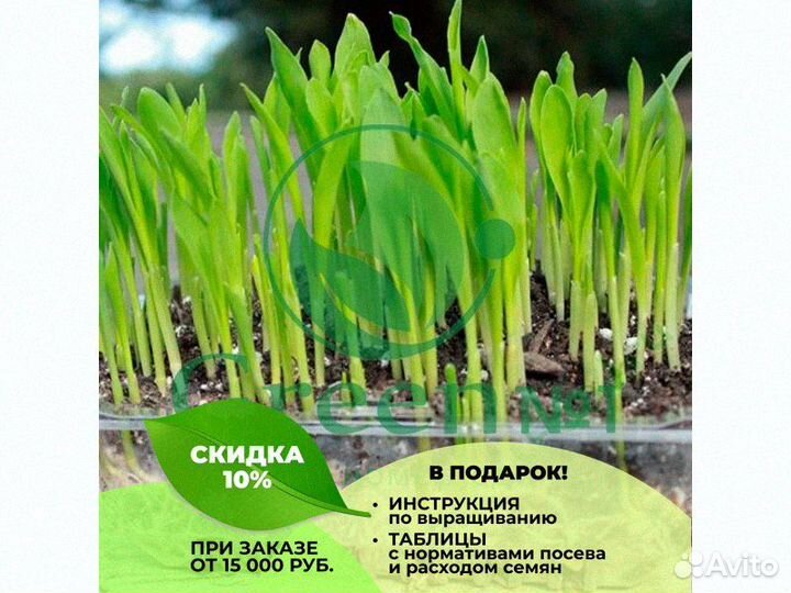 Семена весовые микрозелень