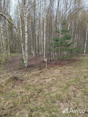 Фото объявления