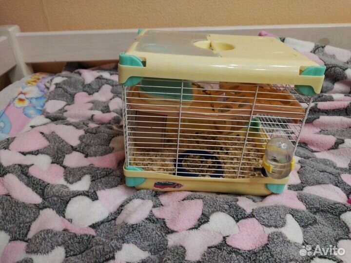 Клетка для хомяка