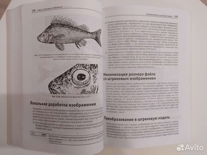 Самоучитель Основы Photoshop CS2