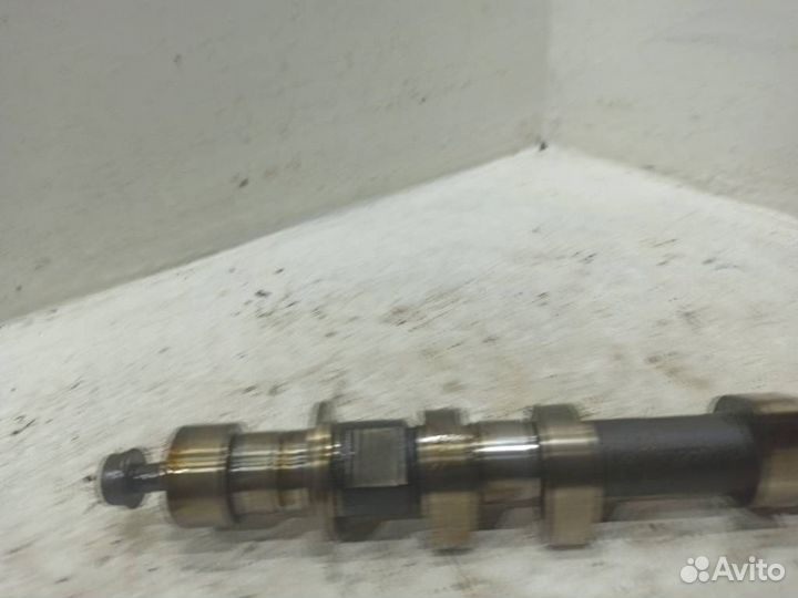 Распредвал впускной Ягуар