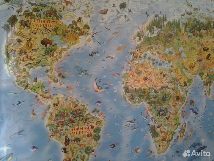 Животный и растительный мир Земли. Детская карта