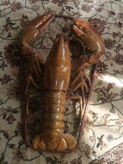 Чучело омара