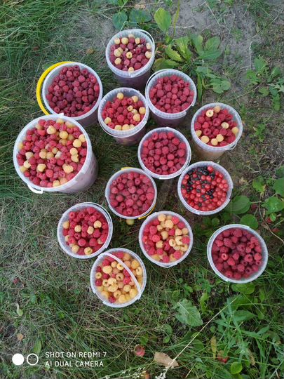 Дача 42 м² на участке 6 сот.