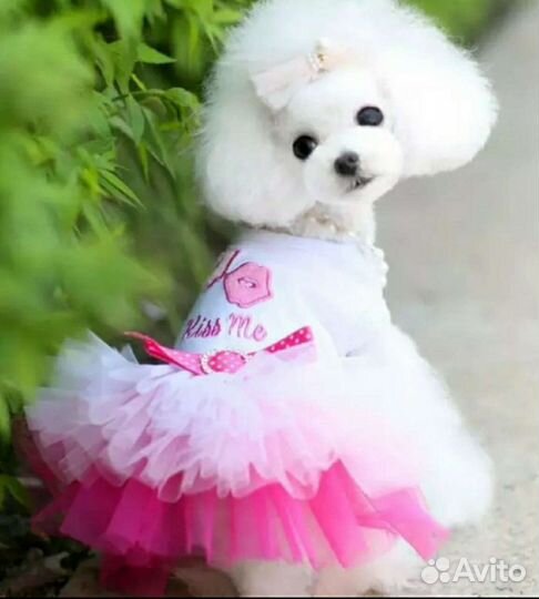 Платье для питомцев