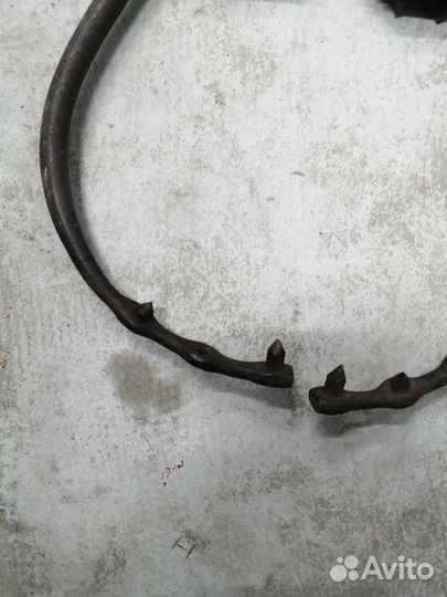 Когти монтерские, лазы