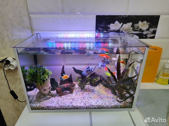 Аквариум с рыбками, 75 литров