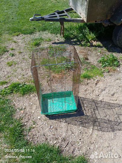 Клетке для птиц