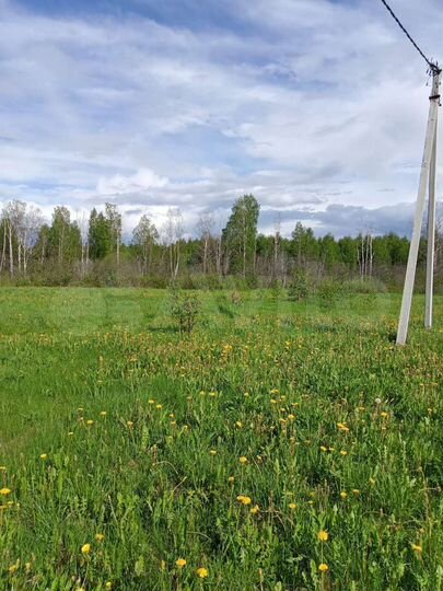 Участок 20 сот. (ИЖС)