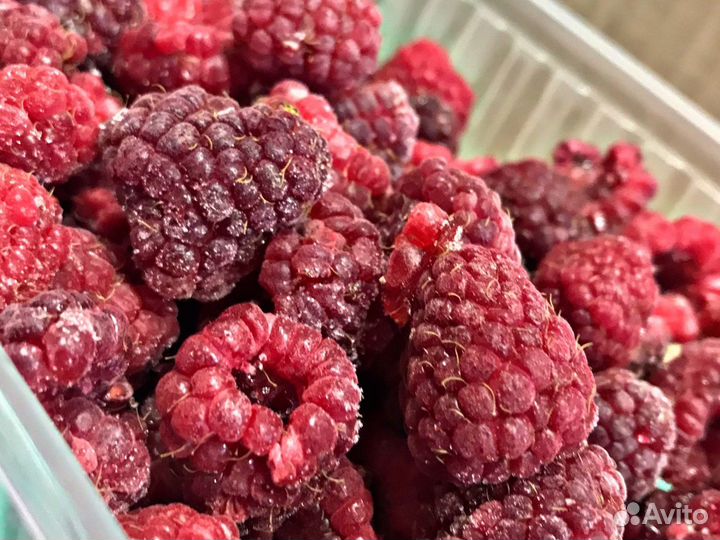 Малина замороженная