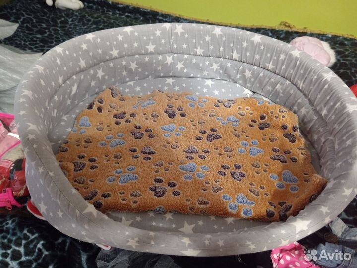 Вещи для маленьких собак