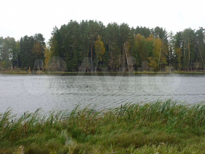 Дом 25 м² на участке 47,7 сот.