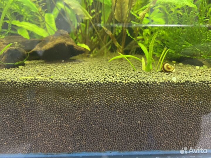 Грунт для аквариума
