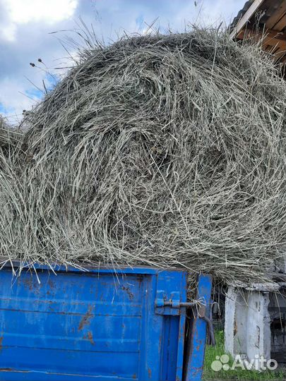 Сено в рулонах с доставкой от 1-го рулона