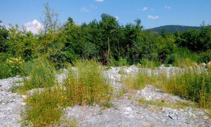 Участок 12 сот. (ИЖС)