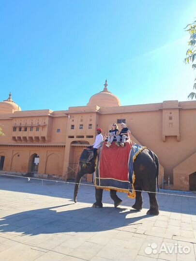 Дели Топ-Экскурсия Индийское трио: Дели, Агра иДжа