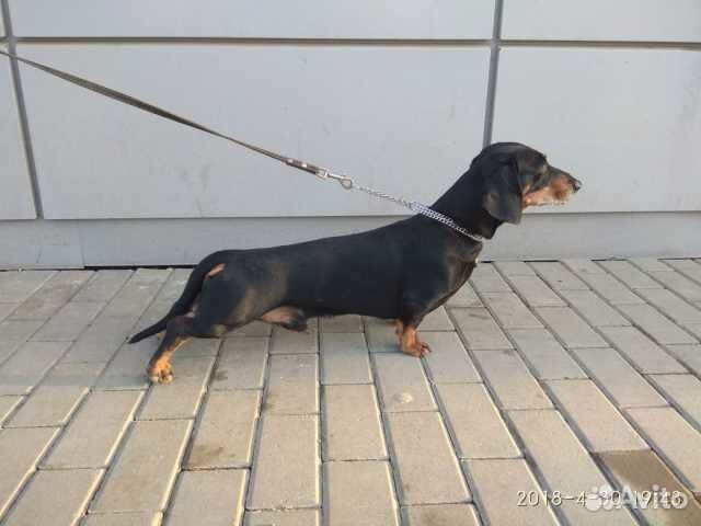 Вязка