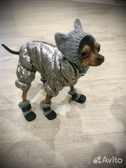 Комбинезон для маленьких собак