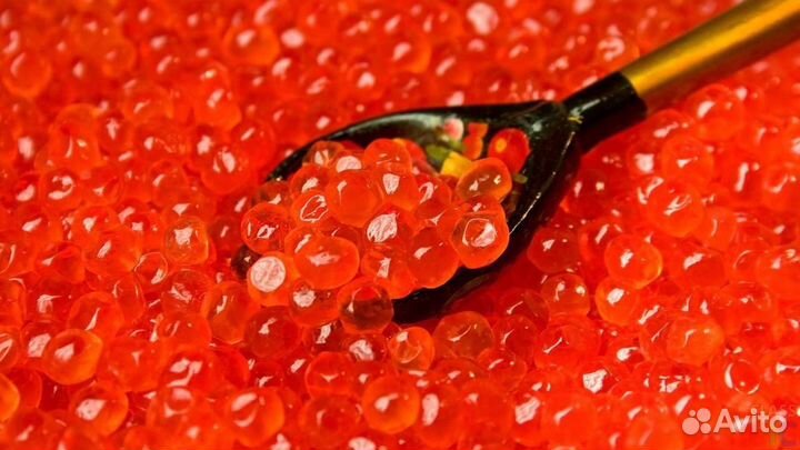 Красная икра 2023