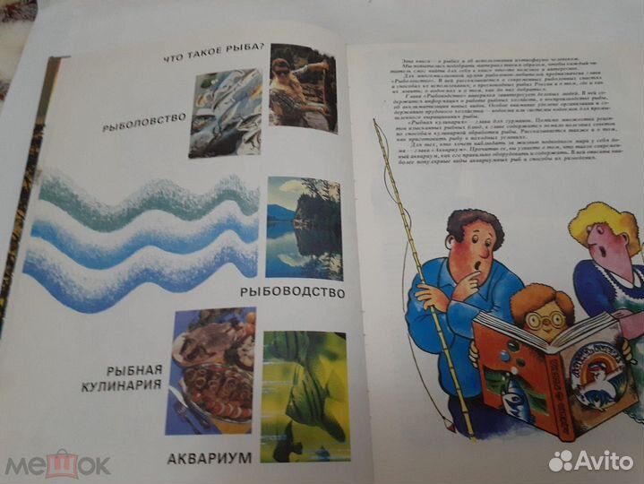 Ловить,рыбка