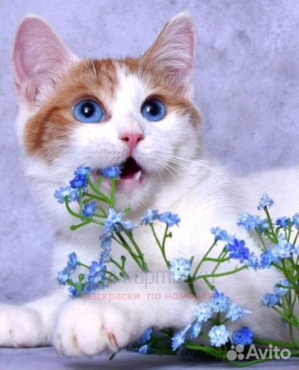 Алмазная мозаика 21x25 Кот и голубые незабудки