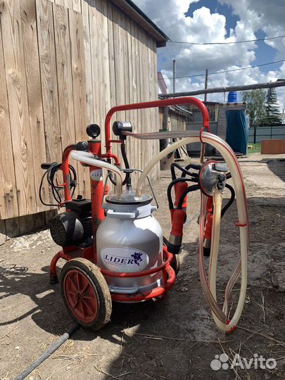 Доильный аппарат для коров